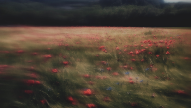 10th Fine Art Photography Awards 1 sub banner 2023