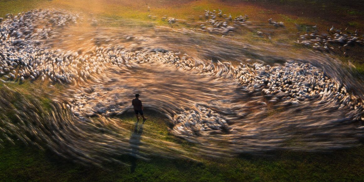 The 14th Epson International Pano Awards 6 1 Ky Nhan Cao Vietnam OPBE PA2314746