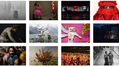 212 Fotoğraf Festivali 2023 Sergileri 36 212header 2