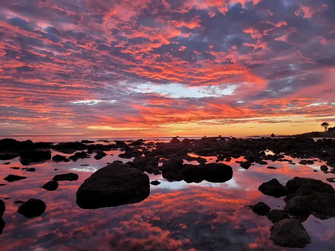 7. RUNNER UP Young Category Reflections over the Pacific Ocean Siyana Lapinski