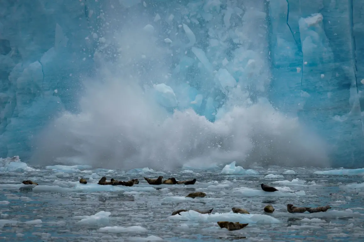 CEWE Photo Award 2023 Kategorie Natur Fotograf Christian Bovians Titel Collapsing Glacier