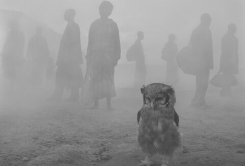 Harriet and people in fog Zimbabwe 2020 scaled 481x325 1