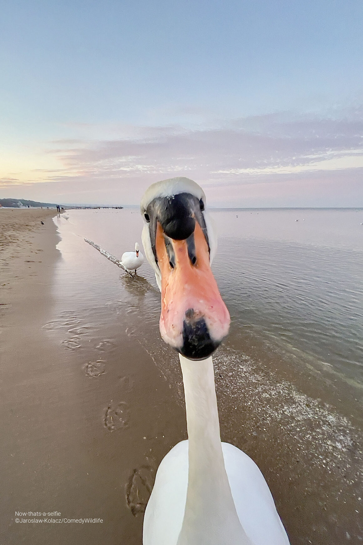 Jaroslaw Kolacz Now thats a selfie