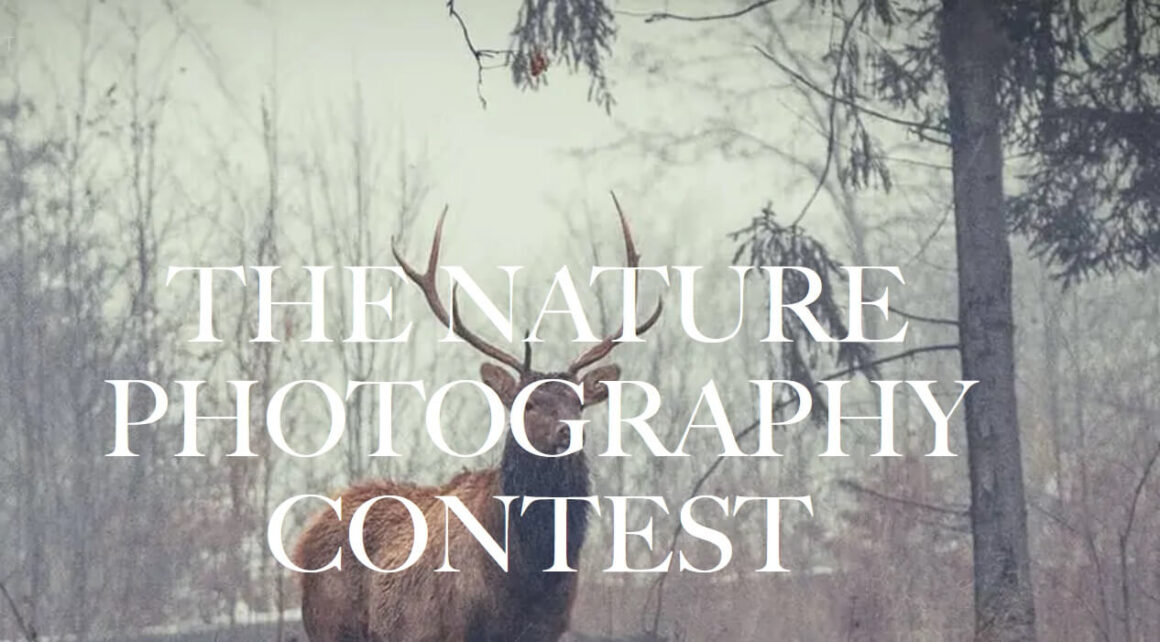 The Nature Photography Contest 2023
