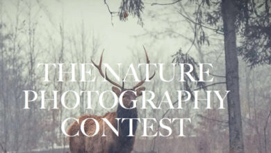 The Nature Photography Contest 2023 6 Nature photography Contest