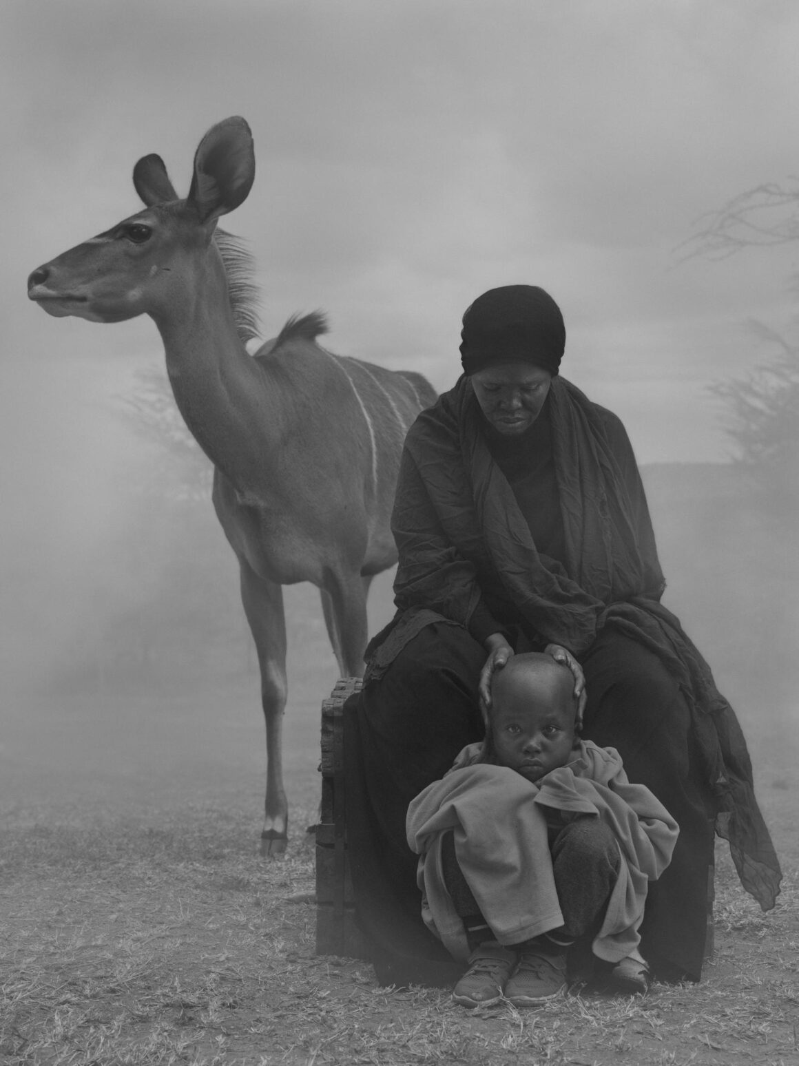 Nick Brandt - The day may break 3 Nick Brandt The day may break 003
