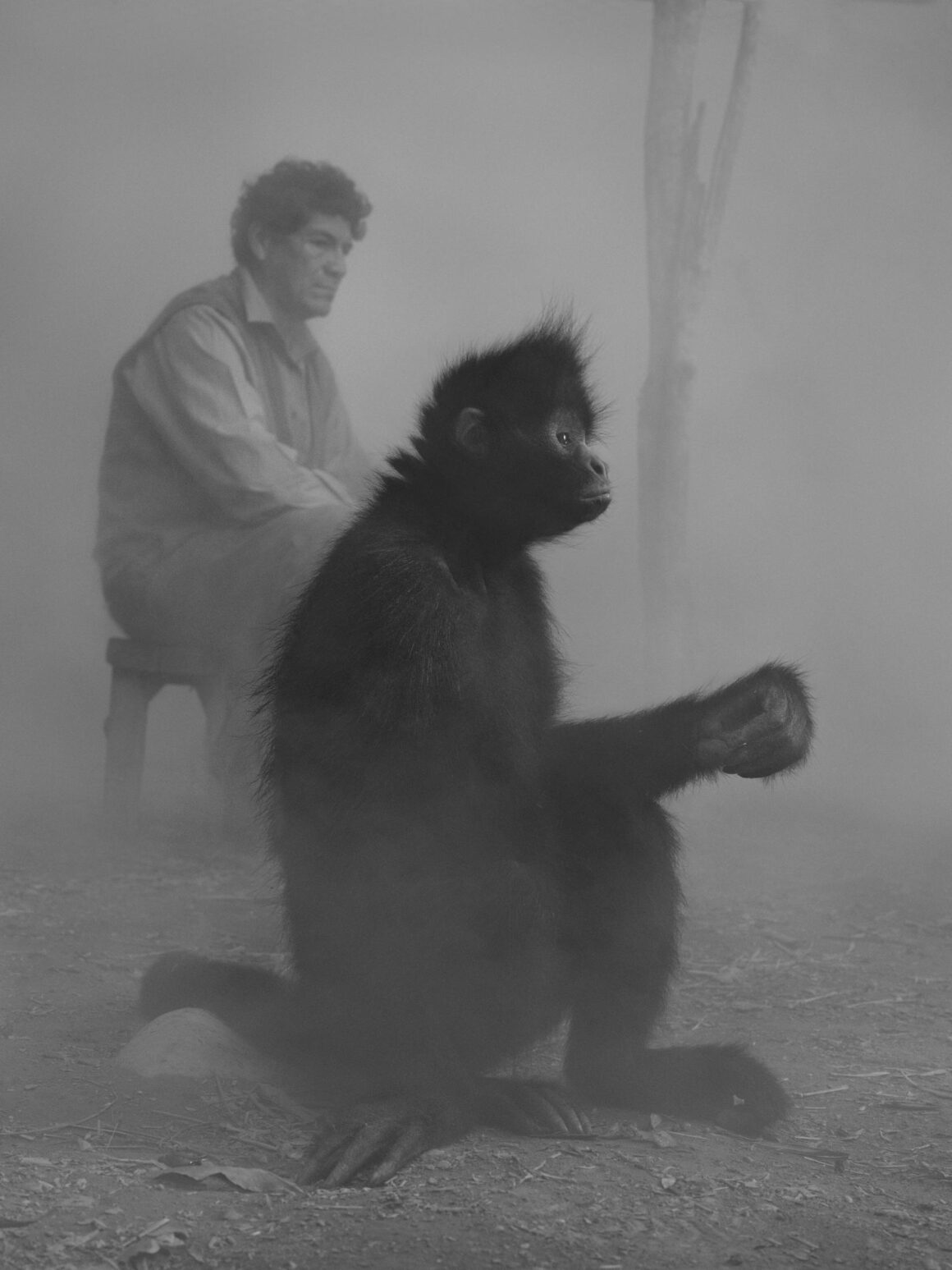 Nick Brandt The day may break 004