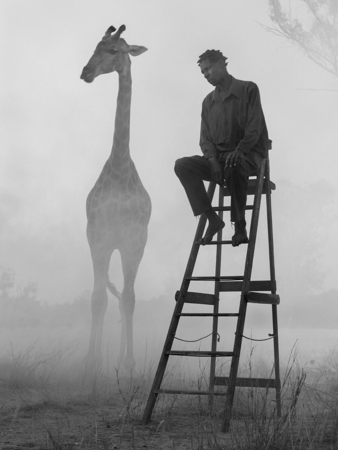 Nick Brandt - The day may break 9 Nick Brandt The day may break 009