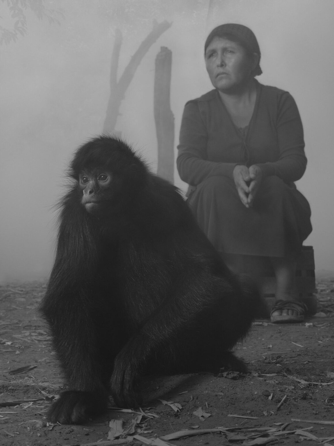 Nick Brandt - The day may break 11 Nick Brandt The day may break 010