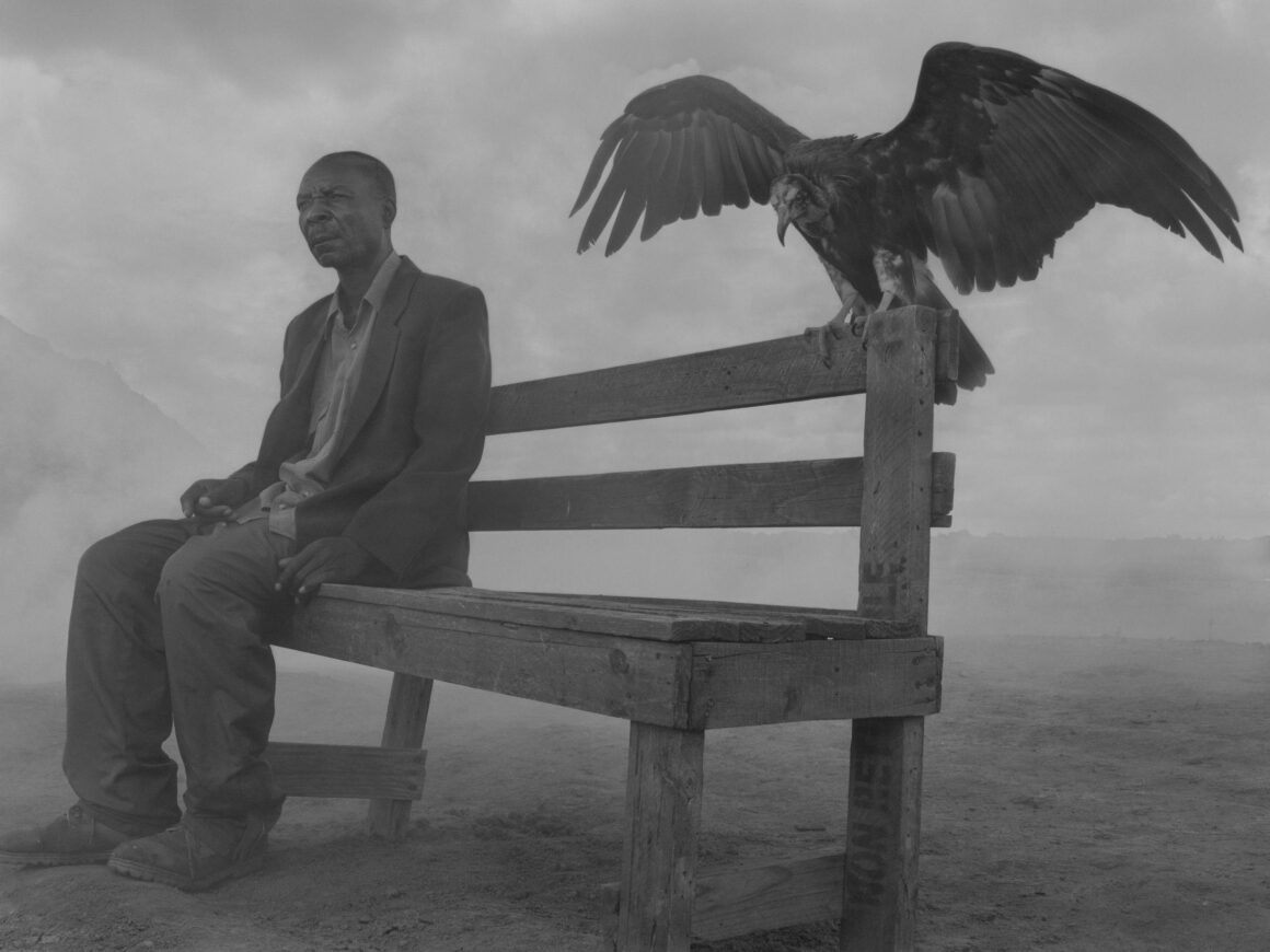 Nick Brandt - The day may break 16 Nick Brandt The day may break 016