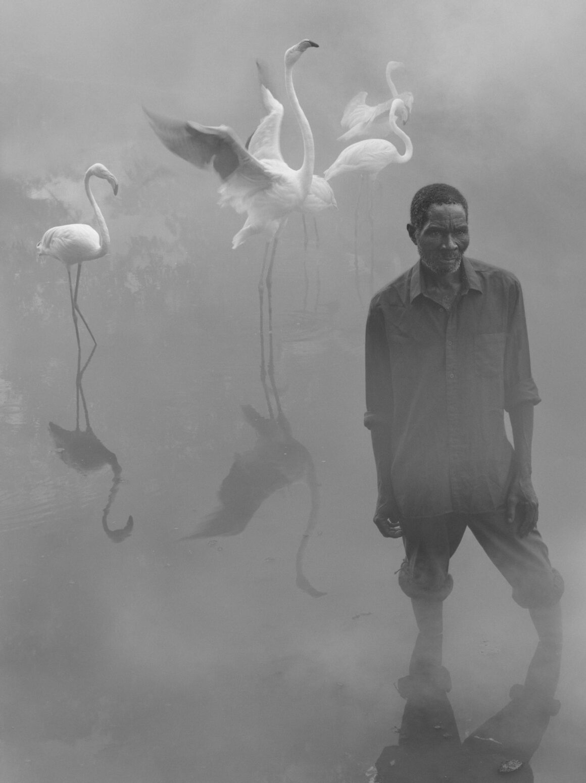 Nick Brandt - The day may break 17 Nick Brandt The day may break 017