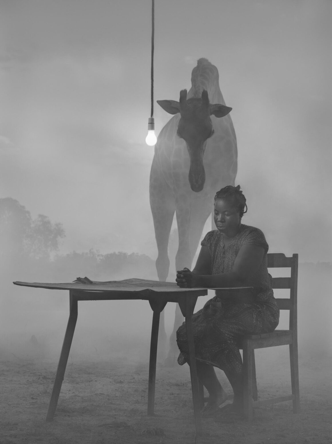 Nick Brandt - The day may break 21 Nick Brandt The day may break 021