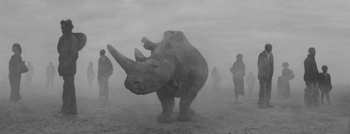 Nick Brandt - The day may break 25 Nick Brandt The day may break header