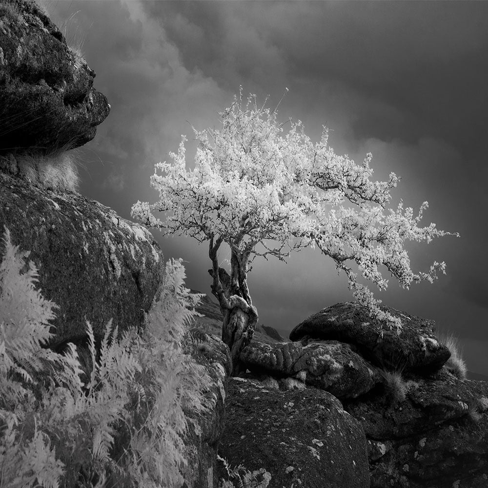 LPOTY 2023 7 Nick Green