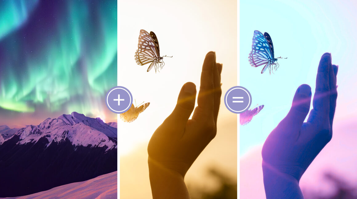 Adobe Photoshop Elements ve Premiere Elements 2024 8 PRE ColorMatch