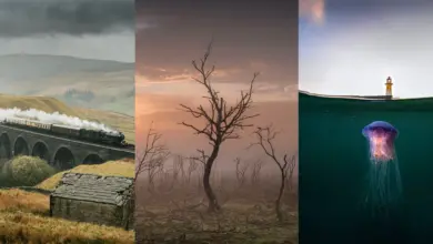 LPOTY 2023 2 UK Landscape