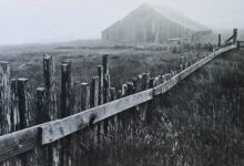 Fotoğraflarda Odak Uzunluğu, Köşegenler ve Derinlik 21 depth in photos header