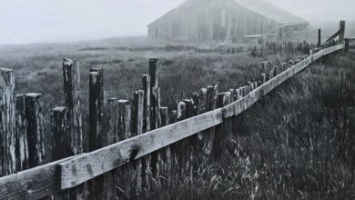 depth in photos header