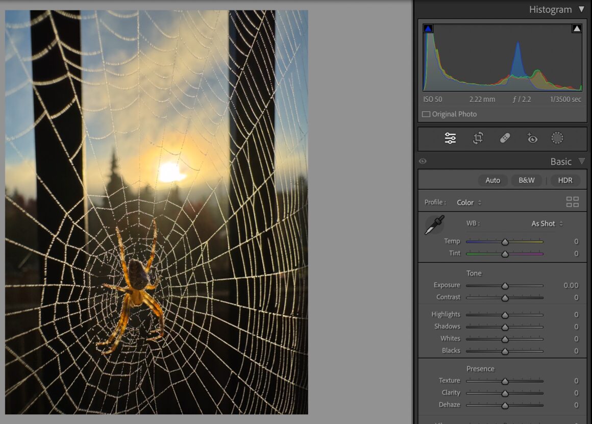 Adobe MAX 2023: Lightroom kullanıcılarının bilmesi gerekenler 5 hdr off