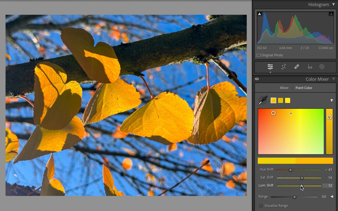 Adobe MAX 2023: Lightroom kullanıcılarının bilmesi gerekenler 9 point color adjusted