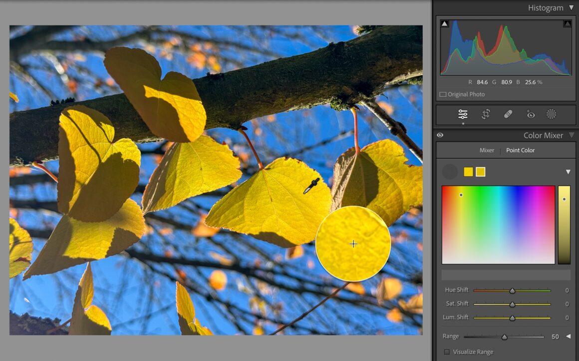 Adobe MAX 2023: Lightroom kullanıcılarının bilmesi gerekenler 8 point color sampled