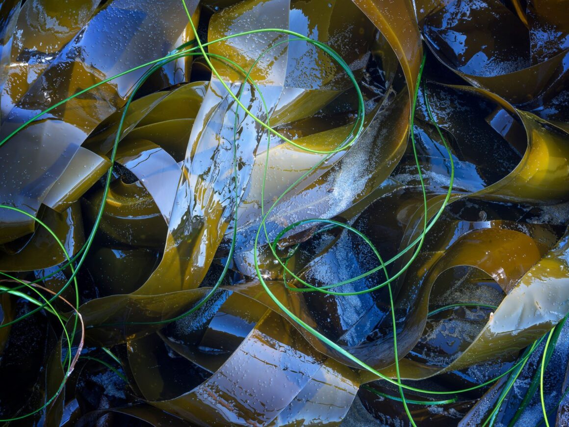2023 Natural Landscape Photography Awards 18 01. Winner Eric Bennett