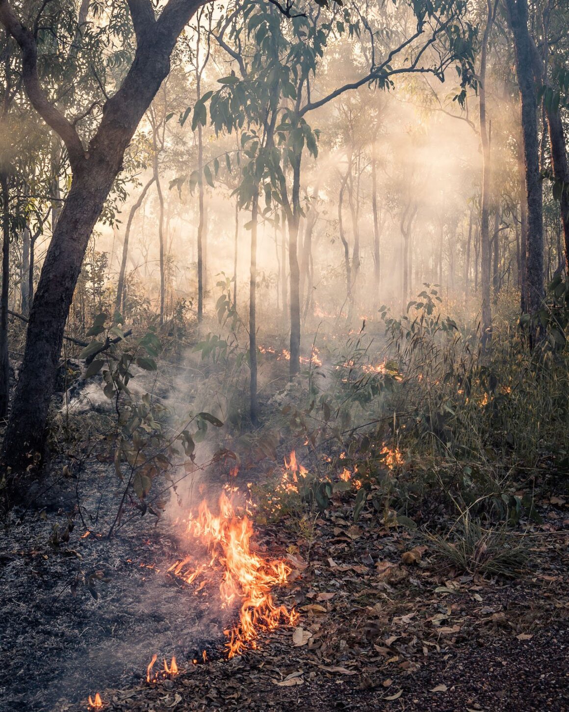 2023 Natural Landscape Photography Awards 22 01. Winner Martin Burner