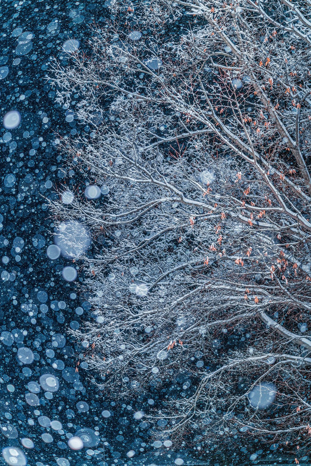 2023 Natural Landscape Photography Awards 24 01. Winner Takahashi Hiroto