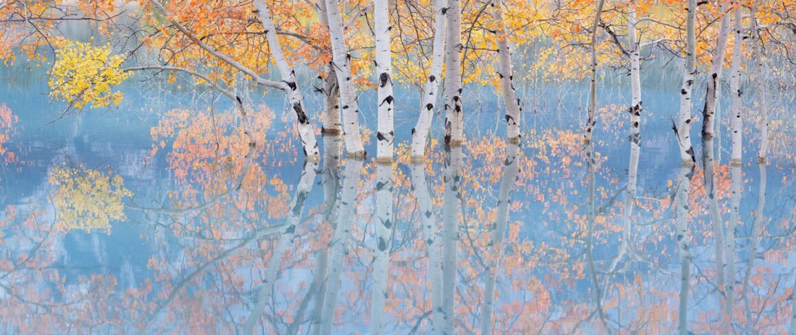 2023 Natural Landscape Photography Awards 29 Adam Gibbs NLPA 2