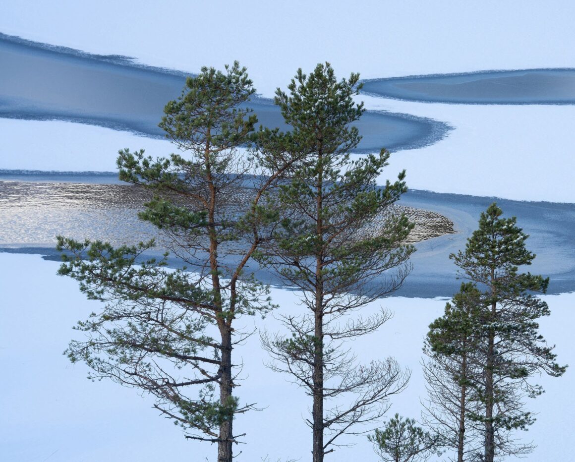 2023 Natural Landscape Photography Awards 32 Kenny Muir 7