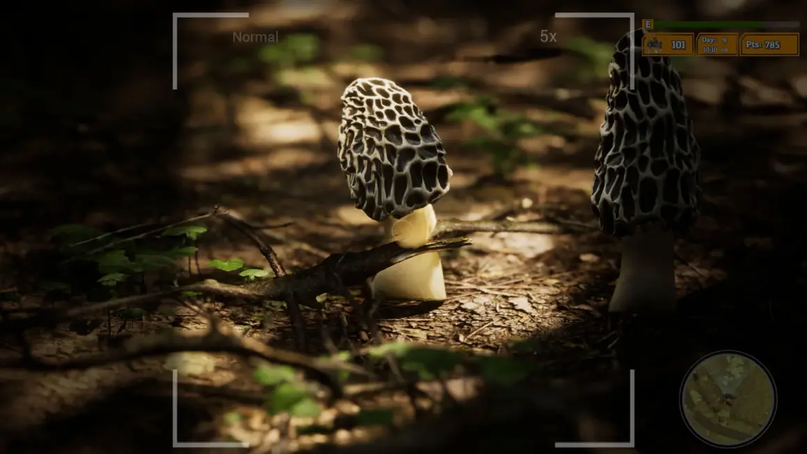 'Morels 2' Mantar Avcılığı ve Yaban Hayatı Fotoğrafçılığını Tek Oyunda Birleştiriyor 1 Morels 2 Mantar Avciligi ve Yaban Hayati Fotografciligini Tek Oyunda Birlestiriyor 001