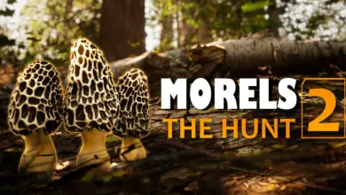 'Morels 2' Mantar Avcılığı ve Yaban Hayatı Fotoğrafçılığını Tek Oyunda Birleştiriyor 5 Morels 2 Mantar Avciligi ve Yaban Hayati Fotografciligini Tek Oyunda Birlestiriyor