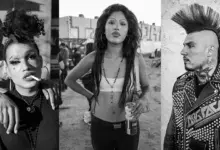 Suitcase Joe. Grey Flowers