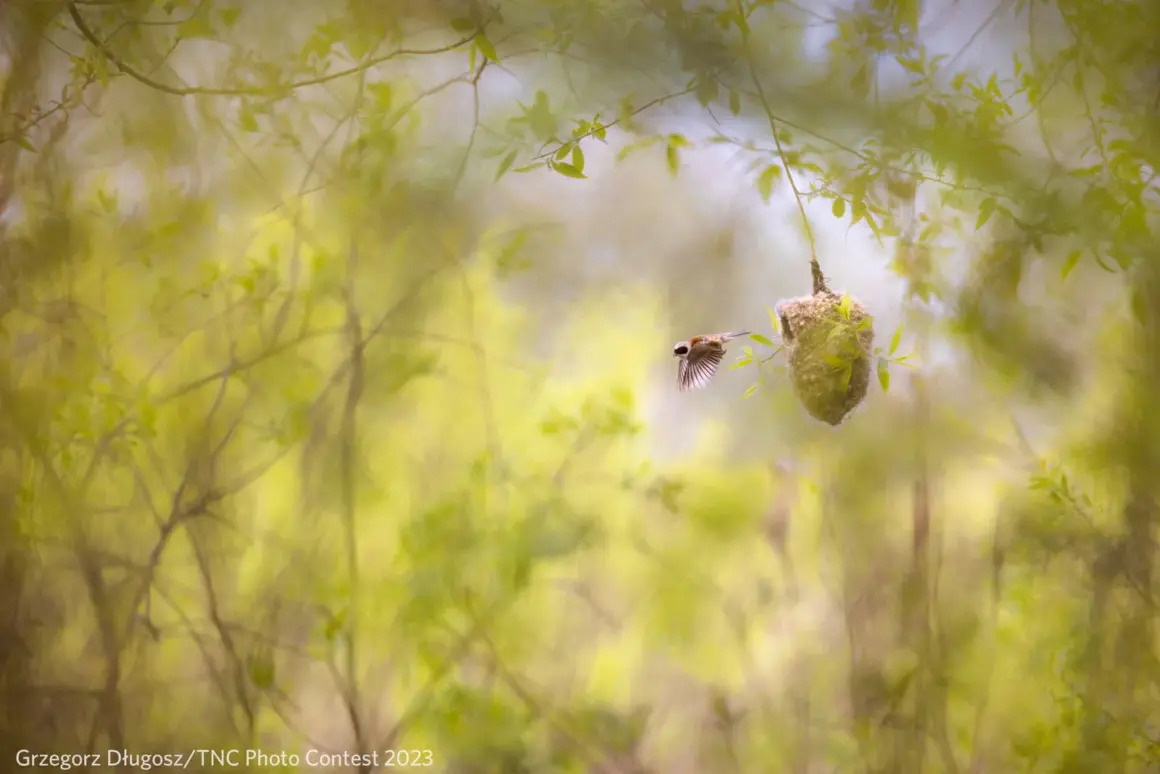 The Nature Conservancy Photo Contest 2023 003