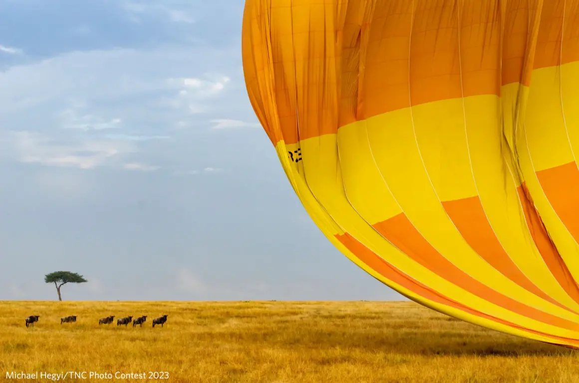 The Nature Conservancy Photo Contest 2023 010