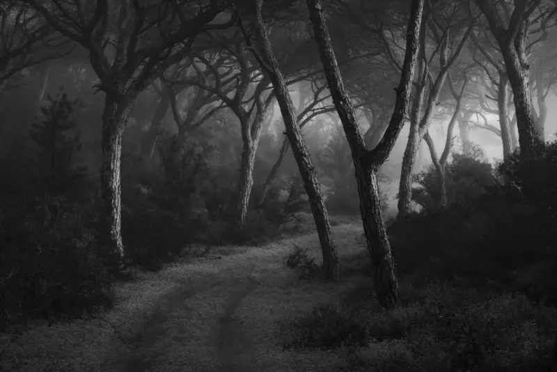 Tiago Mateus Project 2