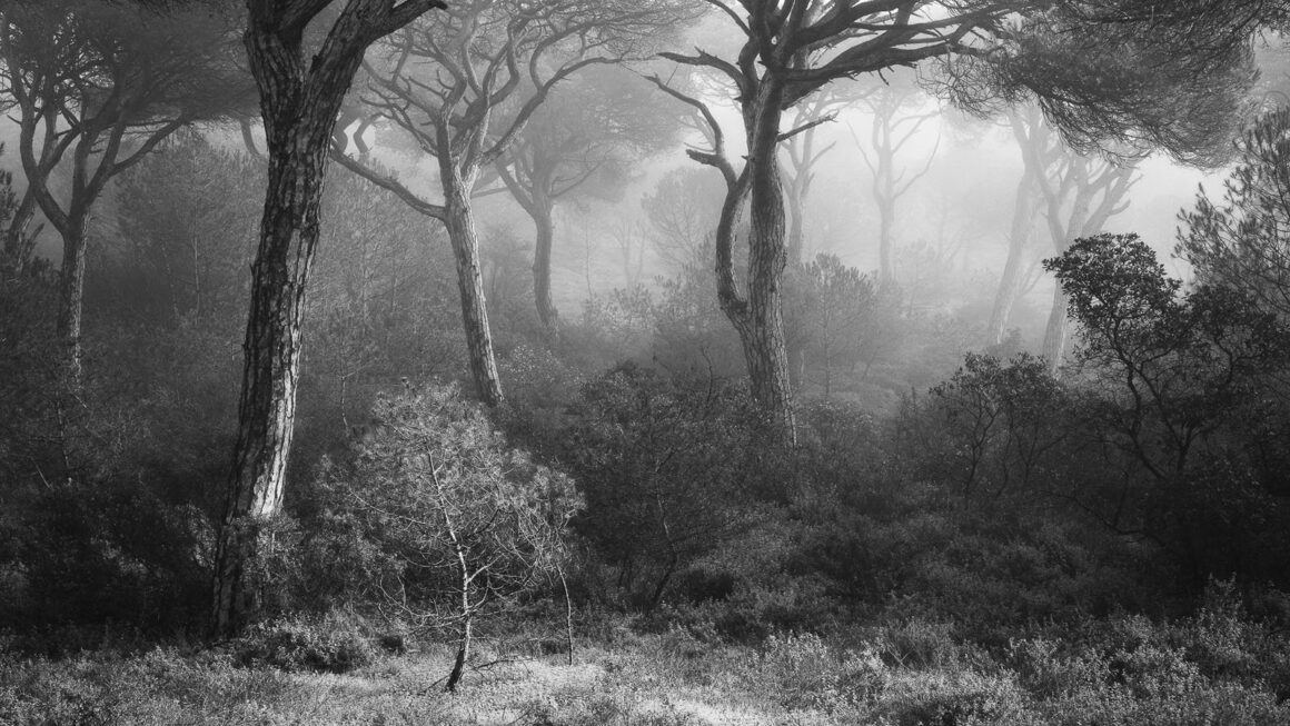 2023 Natural Landscape Photography Awards 10 Tiago Mateus Project 3