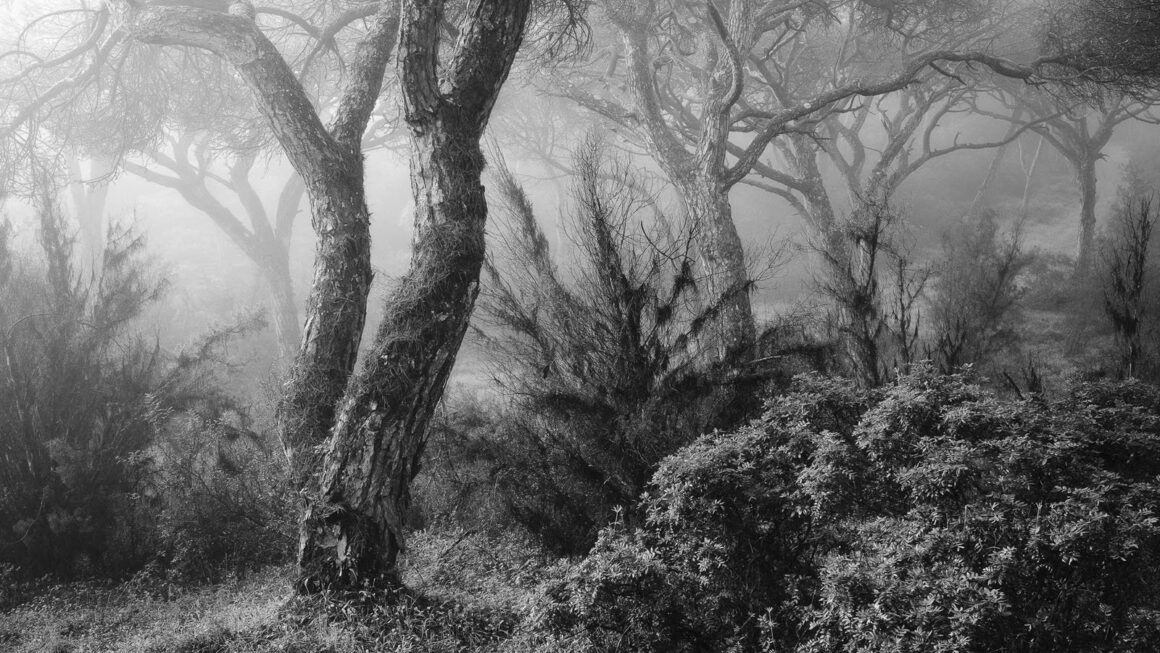 2023 Natural Landscape Photography Awards 12 Tiago Mateus Project 5