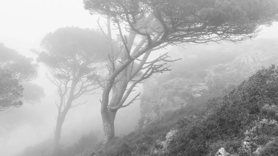 2023 Natural Landscape Photography Awards 15 Tiago Mateus Project 8