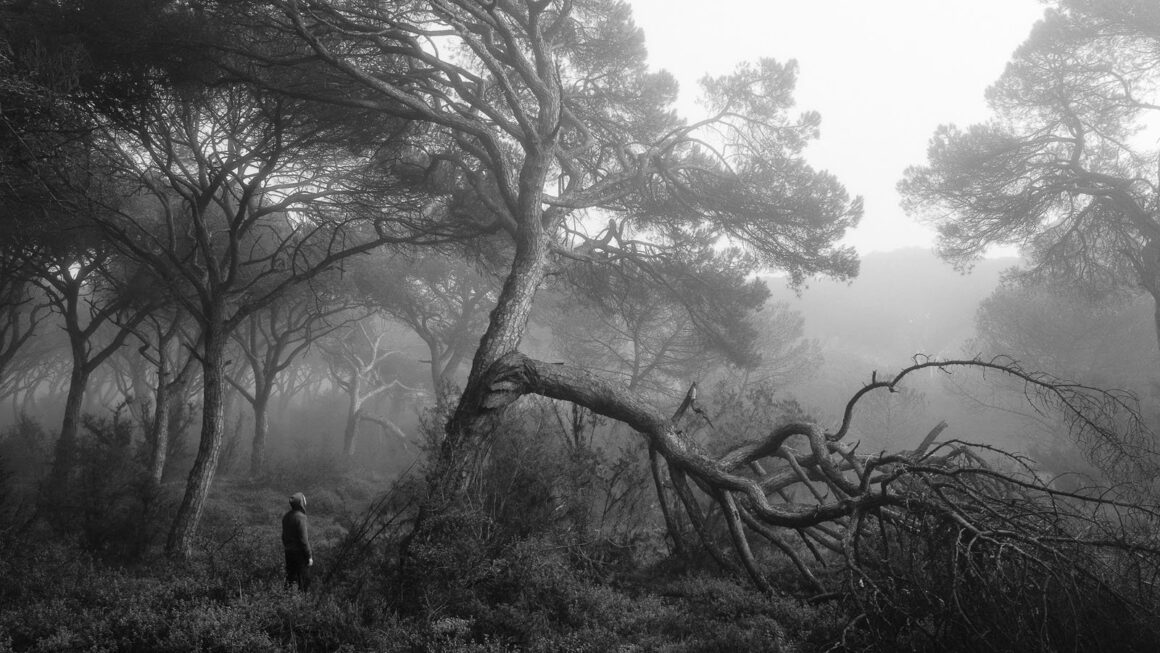 2023 Natural Landscape Photography Awards 16 Tiago Mateus Project 9
