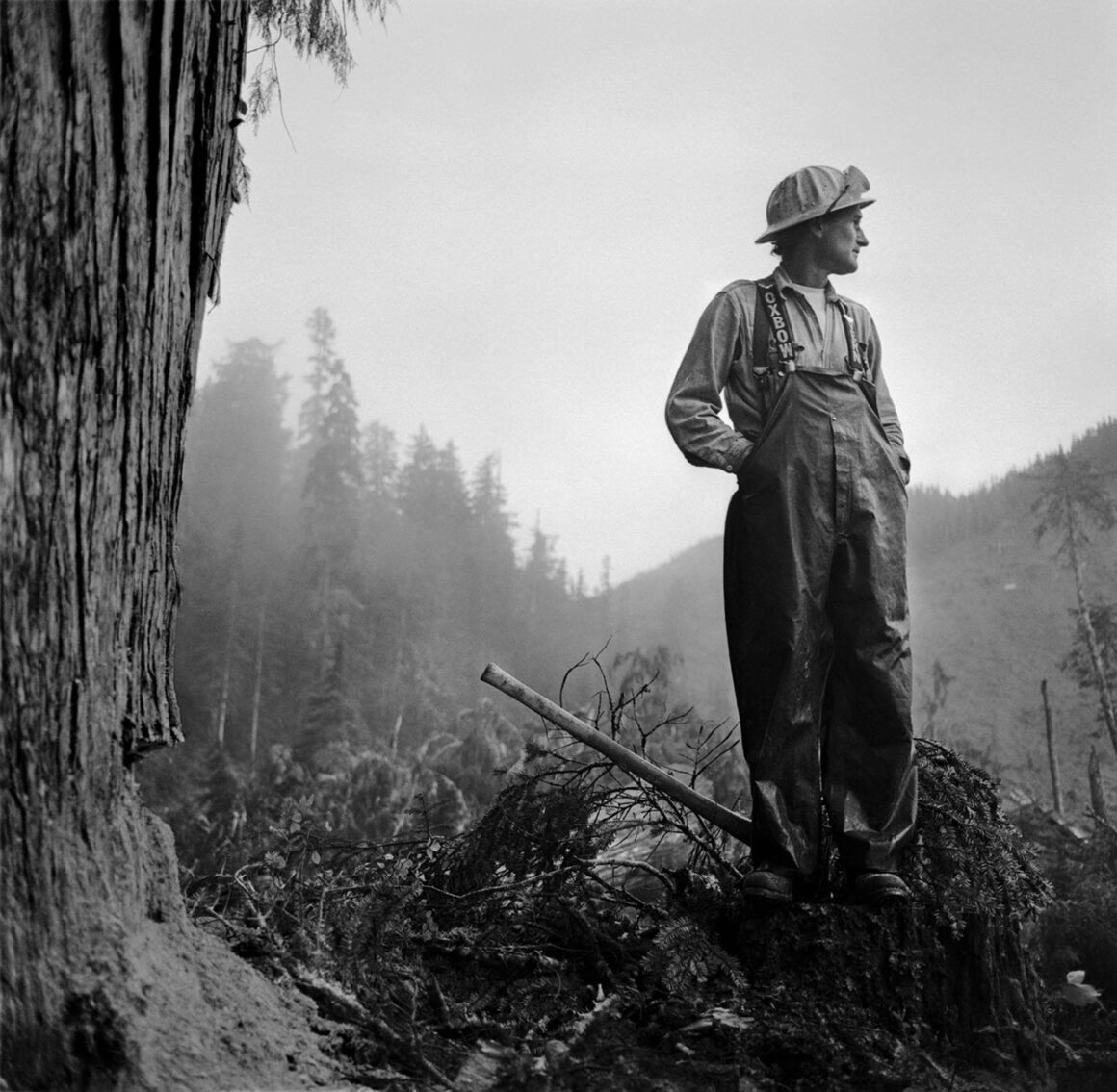 Etkili ve Şefkatli Fotoğrafçı Larry Fink Hayatını Kaybetti 3 ©LarryFink Loggers Grisdale