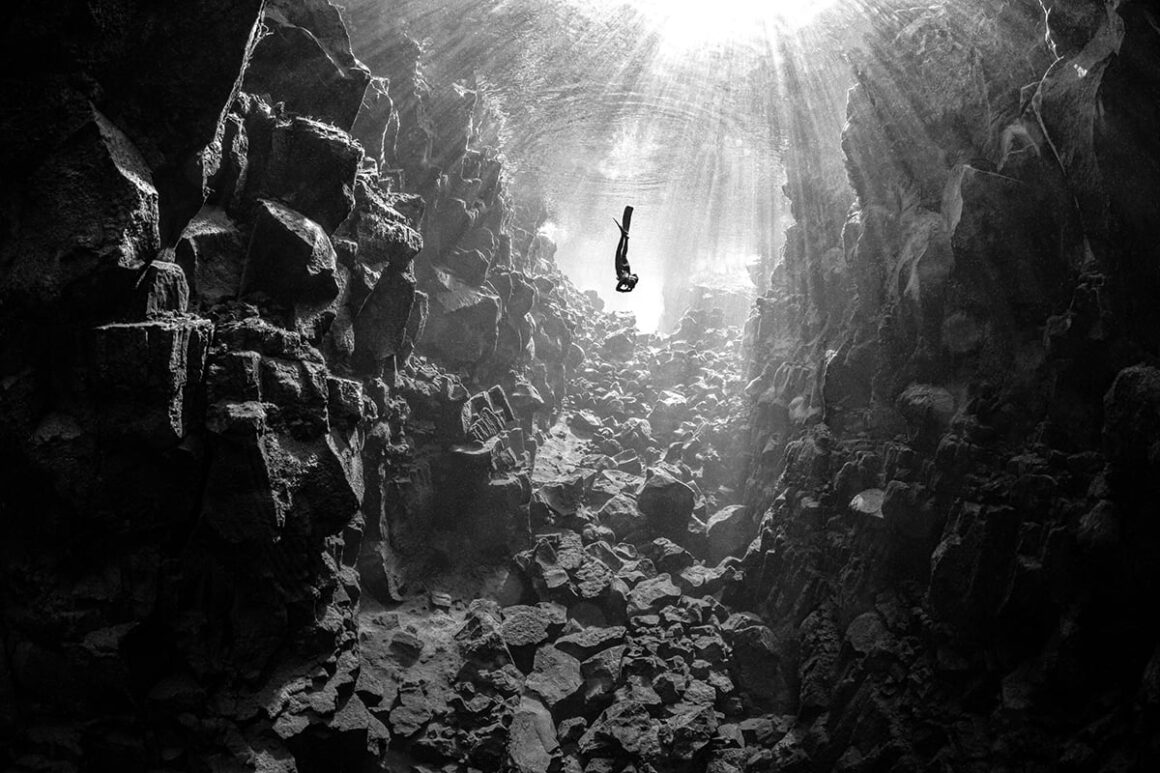 DPG Masters Underwater Imaging Competition 2023 17 2nd Black and White Byron Conroy 316441696369226