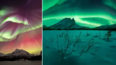 Northern Lights Photographer of the Year