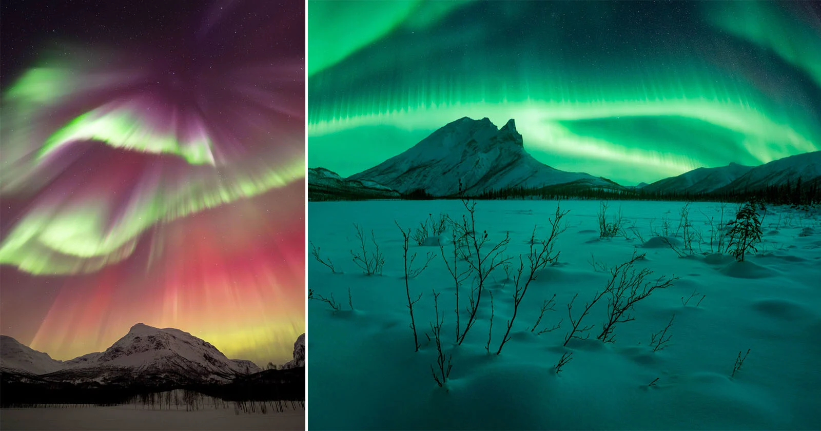 Northern Lights Photographer of the Year