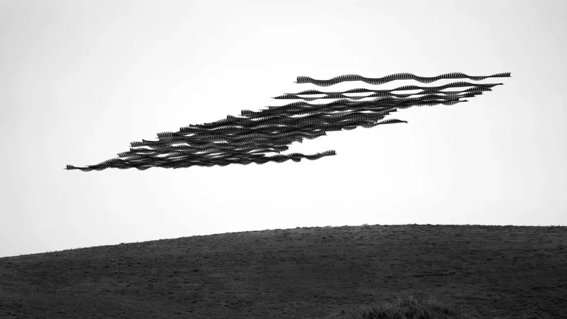 Raghuvamsh Chavali - Kuşların Uçuş Yolu 8 Raghuvamsh Chavali 008