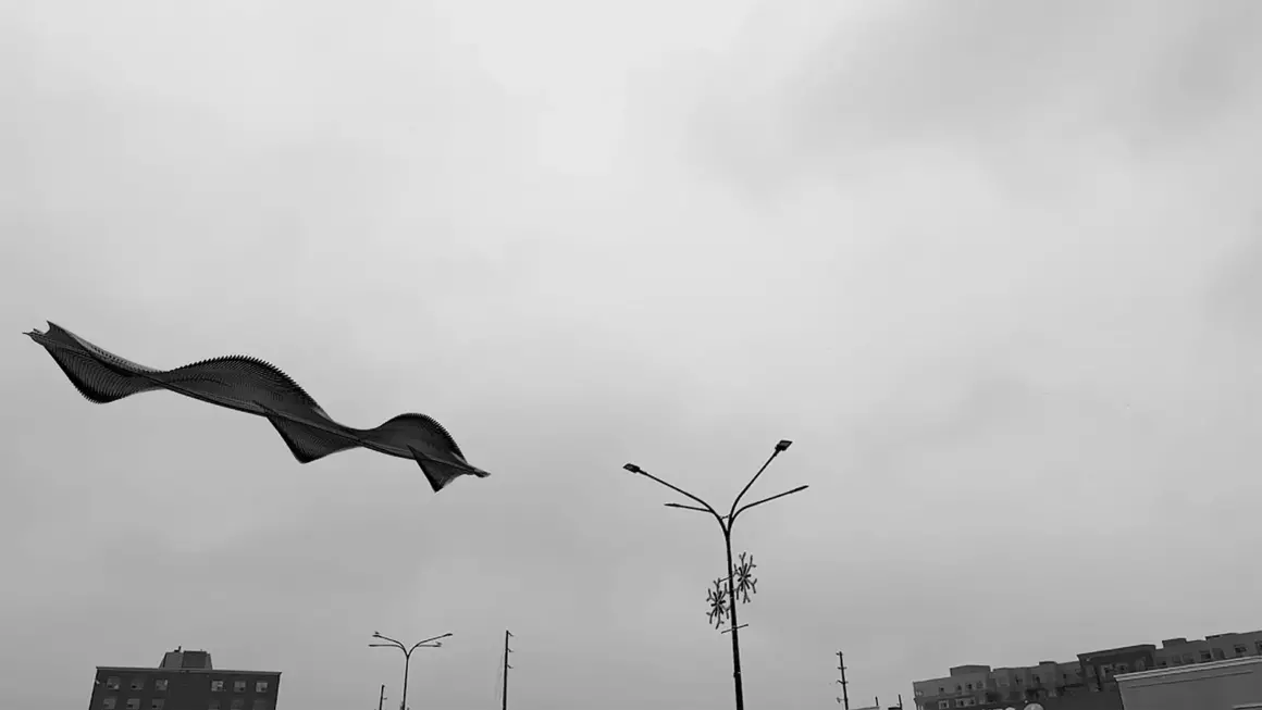Raghuvamsh Chavali - Kuşların Uçuş Yolu 10 Raghuvamsh Chavali 010