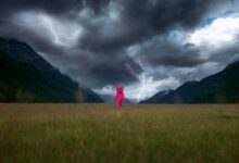 Sanatçı LUAP 'Pembe Ayı' Fotoğraflarıyla Nasıl İyileşti 8 Sanatci LUAP Pembe Ayi Fotograflariyla Nasil Iyilesti SanalSergi
