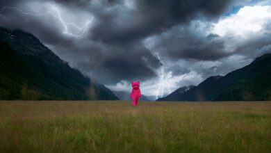 Sanatçı LUAP 'Pembe Ayı' Fotoğraflarıyla Nasıl İyileşti 14 Sanatci LUAP Pembe Ayi Fotograflariyla Nasil Iyilesti SanalSergi