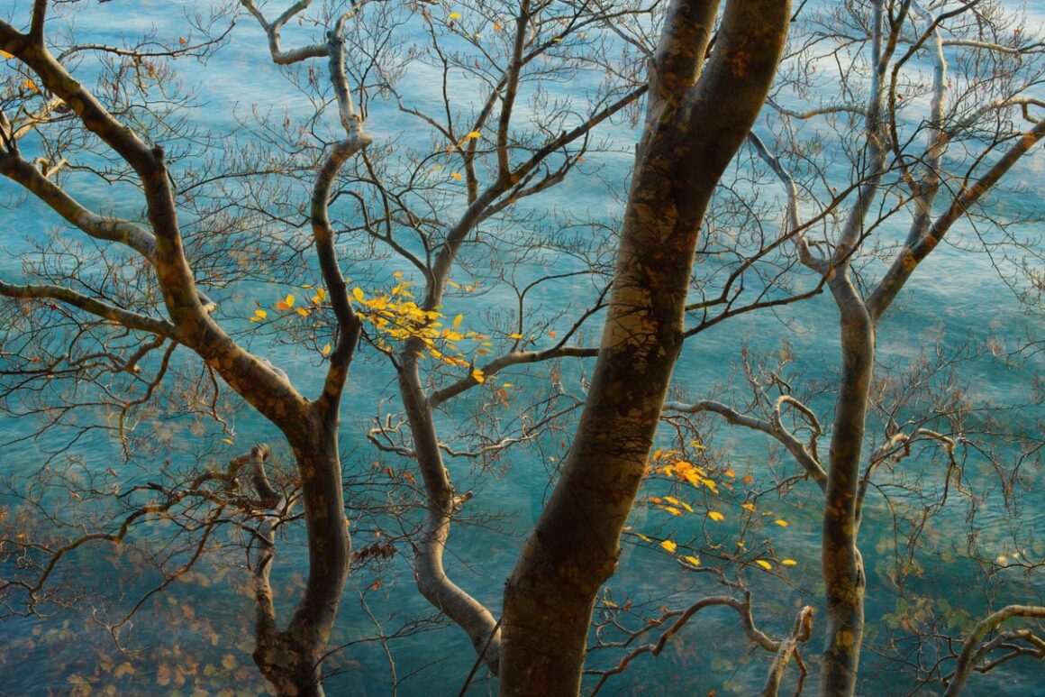 Doğanın Duygusu: Sandra Bartocha'nın Yaratıcı Fotoğrafçılığı 10 Sandra Bartocha 09