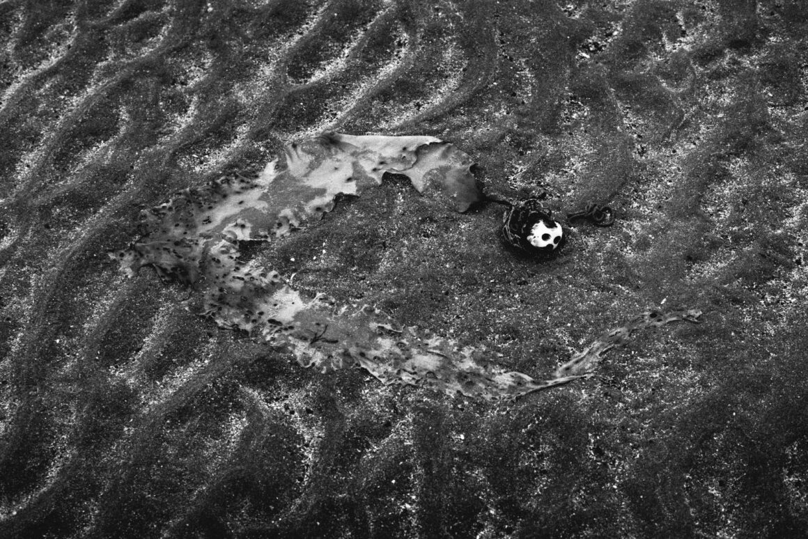 Fotoğrafçılıkta Hareketi Vurgulayan Durgunluk 3 death